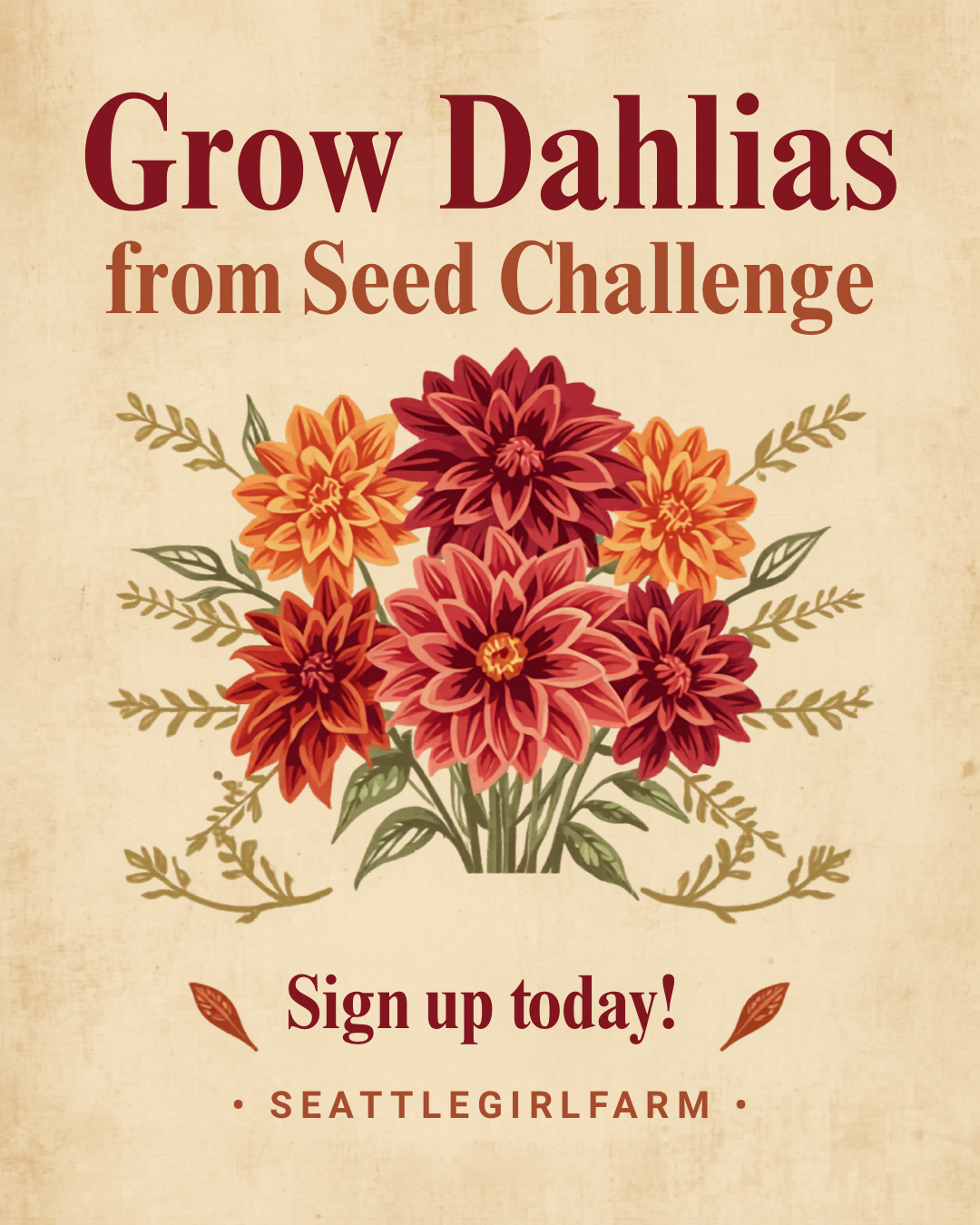 Grow Dahlias from Seed Challenge